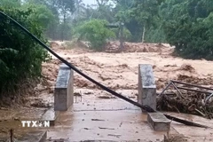 Cầu dân sinh vào bản Nhôn Mai, xã Nhôn Mai, Nghệ An bị lũ cuốn trôi khiến 200 hộ dân bị cô lập. (Ảnh: TTXVN phát)