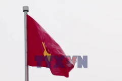 Đoàn kiều bào tiêu biểu vào Lăng viếng Chủ tịch Hồ Chí Minh