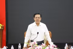 Chủ tịch Ủy ban Nhân dân tỉnh Võ Trọng Hải kết luận buổi làm việc. (Nguồn: Cổng thông tin điện tử tỉnh Nghệ An)