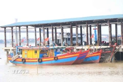 Tàu thuyền trú ẩn tránh bão. (Ảnh: Công Tường/TTXVN)
