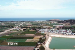 Nghị quyết quy định cách thức xử lý đối với các trường hợp sử dụng đất có sự mâu thuẫn giữa các quy hoạch hoặc chưa phù hợp với quy hoạch đã được phê duyệt. (Ảnh: Công Thử/TTXVN)