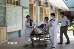 Khẩn trương cấp cứu các nạn nhân vụ tai nạn giao thông trên cao tốc Cầu Giẽ-Ninh Bình. (Ảnh: Nguyễn Chinh/TTXVN)