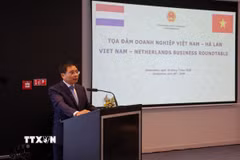 Phó Thủ tướng Chính phủ Nguyễn Văn Thắng nhấn mạnh quan hệ Việt Nam-Hà Lan đang phát triển hết sức tích cực và thực chất, đặc biệt trong các lĩnh vực kinh tế, thương mại và đầu tư. (Ảnh: Anh Hiển/TTXVN)