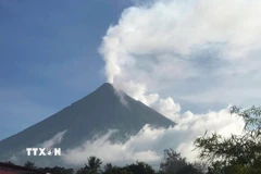 Núi lửa Mayon ở tỉnh Albay, Philippines phun khói bụi, ngày 8/6/2023. (Ảnh: AFP/TTXVN)
