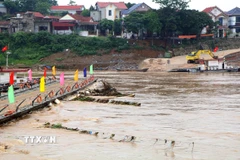 Việc đóng cầu phao Phong Châu là cần thiết nhằm đảm bảo an toàn cho đến khi có thông báo mới. (Ảnh: Tạ Toàn/TTXVN)