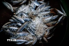 Mực được hấp trên lò khoảng 15-20 phút. (Ảnh: Khánh Hòa/TTXVN)