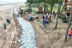 Lực lượng chức năng sử dụng bao cát để gia cố đê Hội Thống. (Ảnh: Hữu Quyết/TTXVN)