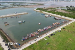 Khu neo đậu tránh trú bão Cửa Hội (xã Đan Hải, Hà Tĩnh) hiện có hàng trăm tàu thuyền đã vào neo đậu. (Ảnh: Hữu Quyết/TTXVN)