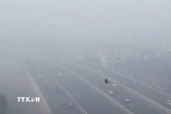 Ô nhiễm không khí nghiêm trọng tại thủ đô New Delhi, Ấn Độ ngày 14/12. (Ảnh: ANI/TTXVN)