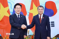 Thủ tướng Lê Minh Hưng hội kiến Tổng thống Hàn Quốc Lee Jae Myung. (Ảnh: Dương Giang/TTXVN)