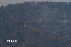 Cây cối bị thiêu rụi do cháy rừng tại Barcelona, Tây Ban Nha. (Ảnh: THX/TTXVN phát)