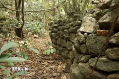 Thành hào bằng đá gần như nguyên trạng sau hơn nửa thế kỷ tại hang Đá Sập (xã Hà Nha, thành phố Đà Nẵng) được cho là công sự của bộ đội ta trong thời kỳ kháng chiến. (Ảnh: Khoa Chương/TTXVN)