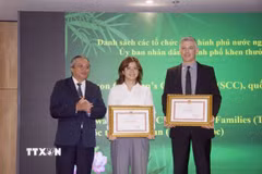 Ông Đỗ Việt Hà (ngoài cùng bên trái), Chủ tịch Liên hiệp các tổ chức hữu nghị Thành phố Hồ Chí Minh, trao Bằng khen của UBND Thành phố cho đại diện các tổ chức phi chính phủ nước ngoài trên địa bàn Thành phố có đóng góp tích cực trong năm 2024. (Ảnh: Xuân Khu/TTXVN)