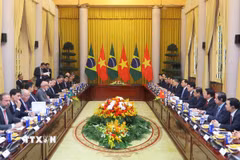 Chủ tịch nước Lương Cường hội đàm với Tổng thống Brazil Luiz Inácio Lula da Silva. (Ảnh: Lâm Khánh/TTXVN)