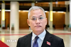 Phó Chủ nhiệm Ủy ban Quốc phòng, An ninh và Đối ngoại Quốc hội Đôn Tuấn Phong trả lời báo chí. (Ảnh: TTXVN phát)