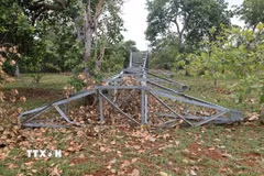 Người dân lo lắng, bức xúc khi trụ điện bị gãy đổ nửa tháng nhưng chưa có đơn vị nào xử lý, di dời. (Ảnh: Đậu Tất Thành/TTXVN)
