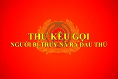 Vụ 15 bị can rửa tiền, chiếm đoạt tài sản: Kêu gọi Hồ Quốc Anh đầu thú