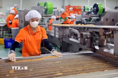 Kinh tế tư nhân được đặt nhiều kỳ vọng bứt phá và phát triển, đưa kinh tế đất nước vững mạnh bước vào kỷ nguyên mới. (Ảnh: Thế Duyệt/TTXVN)