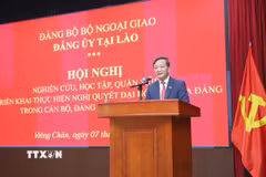 Bí thư Đảng ủy, Đại sứ Nguyễn Minh Tâm phát biểu tại Hội nghị. (Ảnh: Xuân Tú/TTXVN)