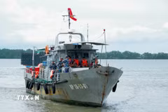 Lực lượng cứu hộ tàu Hải đội 2 Bộ đội Biên phòng Sóc Trăng cứu nạn kịp thời các thuyền viên đưa vào bờ an toàn. (Ảnh: TTXVN phát)