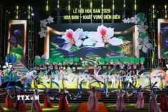 Chương trình nghệ thuật khai mạc Lễ hội Hoa Ban năm 2026 với chủ đề “Hoa Ban - Khát vọng Điện Biên.” (Ảnh: Dương Giang/TTXVN)