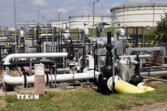 Đường ống dẫn dầu Druzhba ở Szazhalombatta, Hungary. (Ảnh: THX/TTXVN)