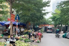 Chợ tạm chợ cóc không đảm bảo an vệ sinh thực phẩm và mất mỹ quan đô thị. (Ảnh: Phương Anh/TTXVN)