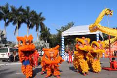 Hàng trăm đoàn lân sư rồng tham gia biểu diễn - đông nhất tại một địa điểm ở Bình Dương. (Ảnh: Huyền Trang/TTXVN)