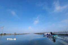 Khung cảnh bình yên vùng đầm phá Tam Giang-Cầu Hai xứ Huế. (Ảnh: Mai Trang/TTXVN)