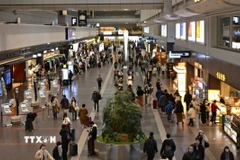 Hành khách tại sân bay Haneda ở thủ đô Tokyo, Nhật Bản. (Ảnh: Kyodo/TTXVN)