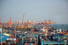 Cảng hàng hóa Busan, Hàn Quốc. (Ảnh: THX/TTXVN)