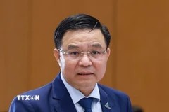 Ông Lê Mạnh Hùng, Quyền Bộ trưởng Bộ Công Thương. (Ảnh: Dương Giang/TTXVN)