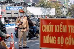 Lực lượng Cảnh sát Giao thông, Công an thành phố Hà Nội duy trì các ca tuần tra kiểm soát, xử lý vi phạm, nhất là vi phạm về nồng độ cồn để kiềm chế tai nạn giao thông. (Ảnh: Phạm Kiên/TTXVN)