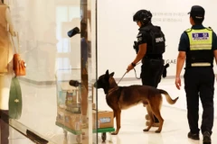 Chó nghiệp vụ của lực lượng cảnh sát đặc nhiệm Hàn Quốc đang tìm kiếm chất nổ tại một cửa hàng bách hóa. Ảnh minh họa. (Nguồn: Yonhap)