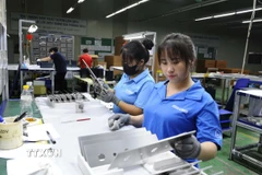 Công nhân tại Khu Công nghiệp Phố Nối A hăng say sản xuất. (Ảnh Mạnh Khánh/TTXVN)