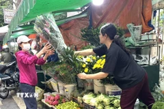 Thị trường hàng hóa rằm tháng Giêng rất sôi động. (Ảnh: Quốc Lũy/TTXVN)