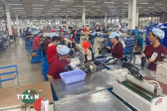 Hoạt động sản xuất tại Công ty Pou Phong Việt Nam, Khu công nghiệp Bàu Xéo (Đồng Nai). (Ảnh: Công Phong/TTXVN)