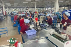 Hoạt động sản xuất tại Công ty Pou Phong Việt Nam, Khu công nghiệp Bàu Xéo (Đồng Nai). (Ảnh: Công Phong/TTXVN)