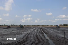 Ngành nông nghiệp vận động nông dân chỉ xuống giống khi đảm bảo nguồn nước tưới nội đồng. (Ảnh: Thu Hiền/TTXVN)