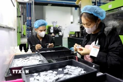 Công nhân Công ty TNHH Nhựa Cotec (Khu công nghiệp Phúc Khánh, thành phố Thái Bình) sản xuất các sản phẩm. (Ảnh: Thế Duyệt/TTXVN)