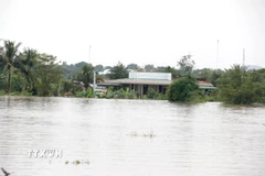 Hàng trăm hộ dân tại xã Hàm Thuận (Lâm Đồng) bị ngập sâu trong nước lũ. (Ảnh: Nguyễn Thanh/TTXVN)