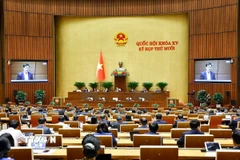 Quang cảnh phiên họp. (Ảnh: Doãn Tấn/TTXVN)
