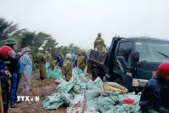 Chính quyền xã Hoằng Châu (Thanh Hóa) phải huy động tối đa lực lượng, người dân để gia cố, khắc phục tình trạng sạt lở mái đê trong mưa. (Ảnh: Việt Hoàng/TTXVN)