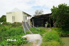 Cây cầu đã được xây dựng để người dân lưu thông, vận chuyển vật tư nông nghiệp. (Ảnh: Nhựt An/TTXVN)