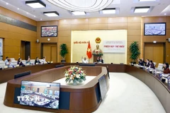 Đại biểu biểu quyết thông qua các văn bản tại Phiên họp thứ nhất của Ủy ban dự thảo sửa đổi, bổ sung một số điều của Hiến pháp năm 2013. (Ảnh: Doãn Tấn/TTXVN)