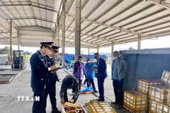 Lực lượng Hải quan Cửa khẩu cầu Bắc Luân II kiểm tra hàng hóa nhập khẩu tại bãi kiểm hóa. (Ảnh: TTXVN phát)
