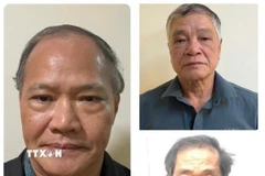 Bị can Hoàng Văn Thắng, nguyên Thứ trưởng Nông nghiệp và Phát triển nông thôn (trái) cùng 2 bị can Trần Tố Nghị và Trần Văn Lăng (áo đỏ). (Ảnh: TTXVN phát)