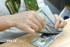 Kiểm đồng USD tại Ngân hàng Vietcombank. (Ảnh: Trần Việt/TTXVN)