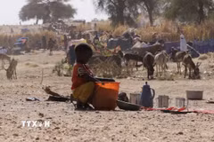 Trẻ em Sudan tìm thức ăn tại một trại tị nạn ở El Fasher, Bắc Darfur, Sudan ngày 9/7/2025. (Ảnh: THX/TTXVN)
