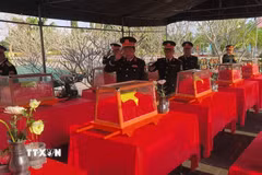 Đại biểu bày tỏ lòng thành kính trước anh linh anh hùng liệt sỹ. (Ảnh: Huỳnh Phúc Hậu/TTXVN)
